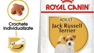 ROYAL CANIN Jack Russel Adult, hrana uscata caini, 1.5kg