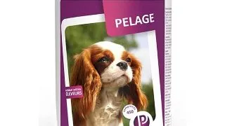PET PHOS Pelage, supliment piele & blana caini, comprimate PET PHOS Pelage, M-XL, supliment piele & blana caini, cutie, 450 comprimate