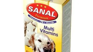 Sanal Dog Premium 85