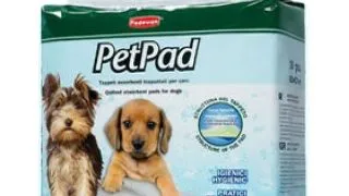 Pet Pad 60 x 60 - covorase educationale - 10 buc