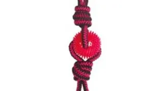 M-PETS Twist Prickly Trio, jucarie sfoara caini M-XL, activitati fizice, dentitie, textil, diverse culori, 60cm