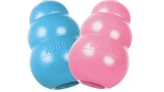 KONG Puppy