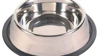 ENJOY, castron caini, rotund, antiderapant, inox, argintiu, M-L(1.8l, ⌀21cm)