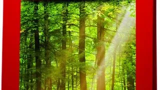 Ecopet Natural Adult Maxi 12 kg