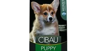 Cibau Puppy Medium 12 kg