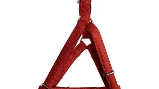 Ham Pentru Caini Macleather Ham Pentru Caini Macleather Rosu 15mm