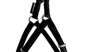 Ham Pentru Caini Macleather Ham Pentru Caini Macleather Negru 20mm
