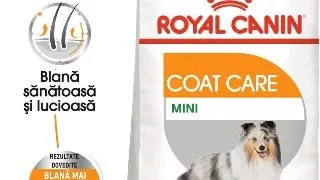 ROYAL CANIN Mini Coat Care Adult, hrana uscata caini, 3kg