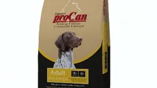 Procan Alta Energia, hrana uscata caini, 20kg 20kg