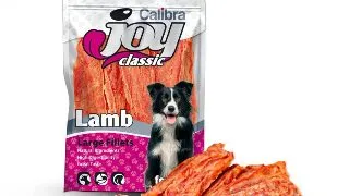 CALIBRA Joy Classic Fillets, XS-XL, Miel, punguta recompense caini, 80g