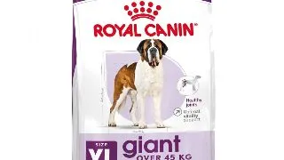 ROYAL CANIN Giant Adult, hrana uscata caini, 15kg