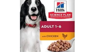 Hill's SP Canine Adult Pui, 370 g