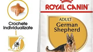ROYAL CANIN German Shepherd Adult, hrana uscata caini, 3kg