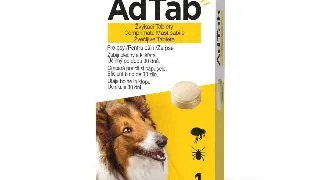 ADTAB, deparazitare externa caini, comprimate masticabile ADTAB, deparazitare externa caini, M-L(22 - 45kg), comprimate masticabile, 900mg x 1buc