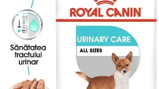 ROYAL CANIN Urinary Care Adult, hrana umeda caini, sanatatea tractului urinar, (pate), 85g