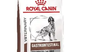 ROYAL CANIN VD Gastrointestinal Moderate Calorie, XS-XL, dieta veterinara, hrana uscata caini, sistem digestiv, 2kg