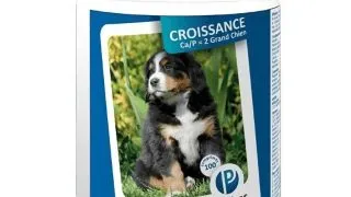 PET PHOS Croissance Grand Chien Ca/P=2, L-XL, supliment sistem osos caini junior, flacon, 100 comprimate