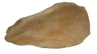 Urechi Uscate de Vita Trixie 1buc