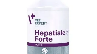Hepatiale Liquid, Flacon 250 ml