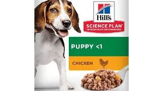 Hill's SP Canine Puppy Pui, 370 g Hill's SP Canine Puppy Pui, bax, 370g x 6buc