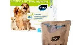 Viyo Reinforces Caine