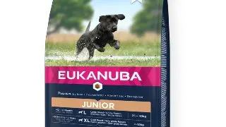EUKANUBA Junior Large Breed, L-XL, Pui, hrana uscata caini junior, 15kg