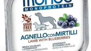 MONGE Monoprotein, XS-XL, Miel si afine, tavita hrana umeda monoproteica fara cereale caini, (pate), bax, 150g x 24buc