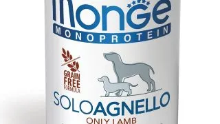 MONGE Monoprotein, XS-XL, Miel, conserva hrana umeda monoproteica fara cereale caini, (pate), 400g