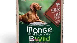 MONGE BWild, XS-XL, Miel si dovleac, conserva hrana umeda fara cereale caini, (in sos), 400g
