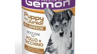 GEMON All Breeds Puppy and Junior, XS-XL, Pui si Curcan, conserva hrana umeda caini junior, (in aspic), 415g