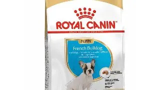 Royal Canin French Bulldog Puppy hrana uscata caine junior 3kg 3kg