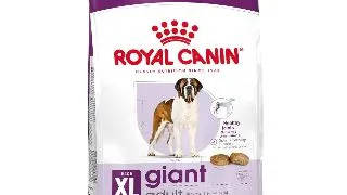 Royal Canin Giant Adult hrana uscata caine 15kg