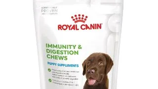 ROYAL CANIN Immunity & Digestion Chews Puppy Supplements, punguta recompense functionale caini junior, sistem imunitar, sistem digestiv, 100g