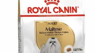 Royal Canin Maltese Adult hrana uscata caine 1.5kg 1.5kg