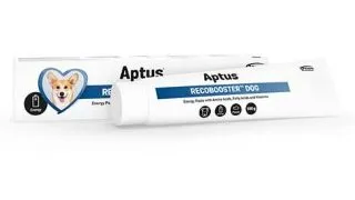 APTUS Recobooster, supliment activitate intensa caini, pasta orala APTUS Recobooster, XS-XL, supliment activitate intensa caini, tub, 100g pasta orala