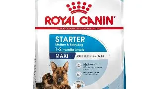 Royal Canin Maxi Starter Mother & Babydog, mama si puiul, hrana uscata caine 4kg 4kg