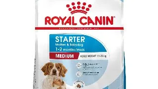 Royal Canin Medium Starter Mother & Babydog, mama si puiul, hrana uscata caine 4kg 4kg