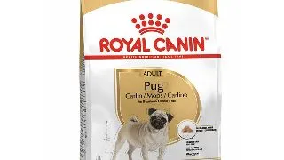 Royal Canin Pug Adult hrana uscata caine 1.5kg 1.5kg