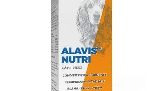ALAVIS Nutri Ulei de Somon, multivitamine caini, ulei ALAVIS Nutri Ulei de Somon, XS-XL, multivitamine caini si pisici, flacon, 200ml ulei