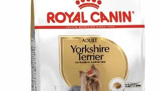 Royal Canin Yorkshire Adult hrana uscata caine 1.5kg 1.5kg
