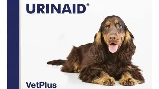 VETPLUS Urinaid, supliment sistem urinar caini, comprimate VETPLUS Urinaid, XS-XL, supliment sistem urinar caini, cutie, 60 comprimate