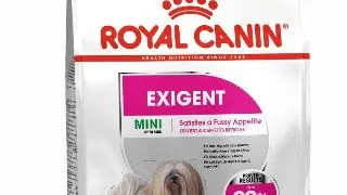 Royal Canin Mini Exigent hrana uscata caine, apetit capricios 3kg