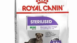 Royal Canin Mini Sterilised Adult hrana uscata caine sterilizat 3kg