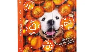 CALIBRA Christmas Advent Calendar 2025, XS-XL, cutie recompense caini, 200g