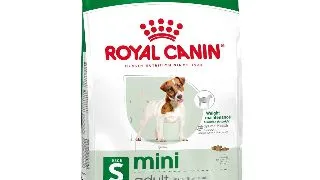 Royal Canin Mini Adult hrana uscata caine 8 + 1kg Gratuit