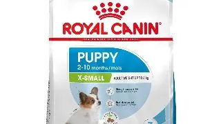 Royal Canin X-Small Puppy hrana uscata caine junior 500g