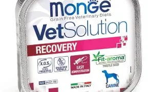 MONGE VETSOLUTION Recovery, XS-XL, Ficat si Porc, dieta veterinara, tavita hrana umeda fara cereale caini, convalescenta, (topping), 150g