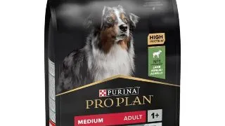 PURINA Pro Plan Sensitive Digestion Medium Adult, M, Miel, hrana uscata caini, sistem digestiv, 10kg