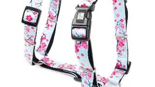 MAX & MOLLY Cherry Bloom, ham prindere dubla(piept&spate) caini, poliester, bleu si roz, catarama trident, S(43-53  x 1.5cm)