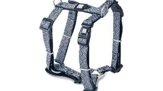 MAX & MOLLY Mykonos Black, ham prindere dubla(piept&spate) caini, ajustabil, poliester, alb si negru, catarama trident, M(59-72  x 2cm)